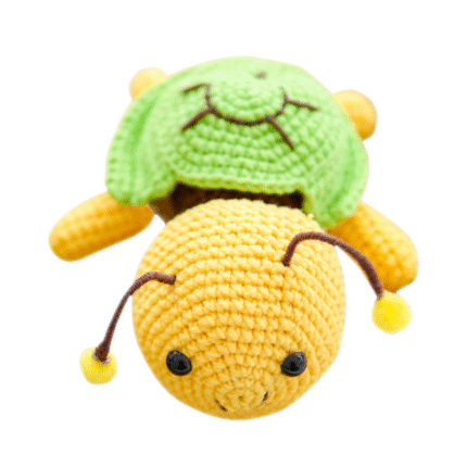 Turtle & bee